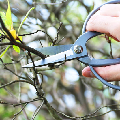 Bonsai Scissors Long Blade Made in Japan 8", Japanese Stainless Steel Blade, Large Okubo Shears for Bonsai and Garden Use