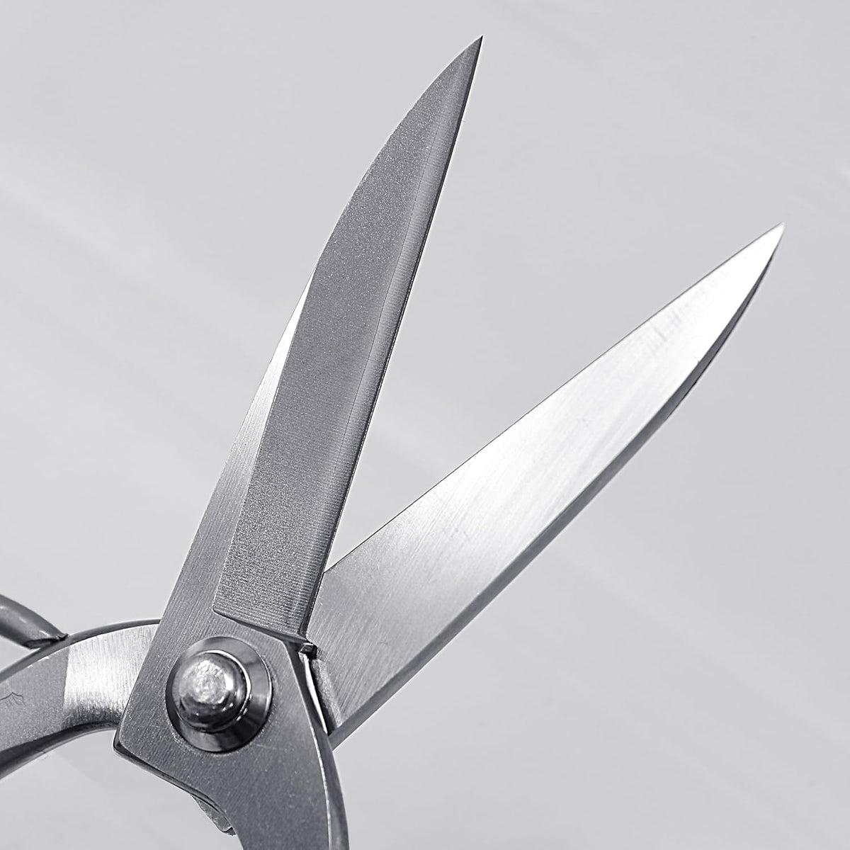 Bonsai Scissors Long Blade Made in Japan 8", Japanese Stainless Steel Blade, Large Okubo Shears for Bonsai and Garden Use