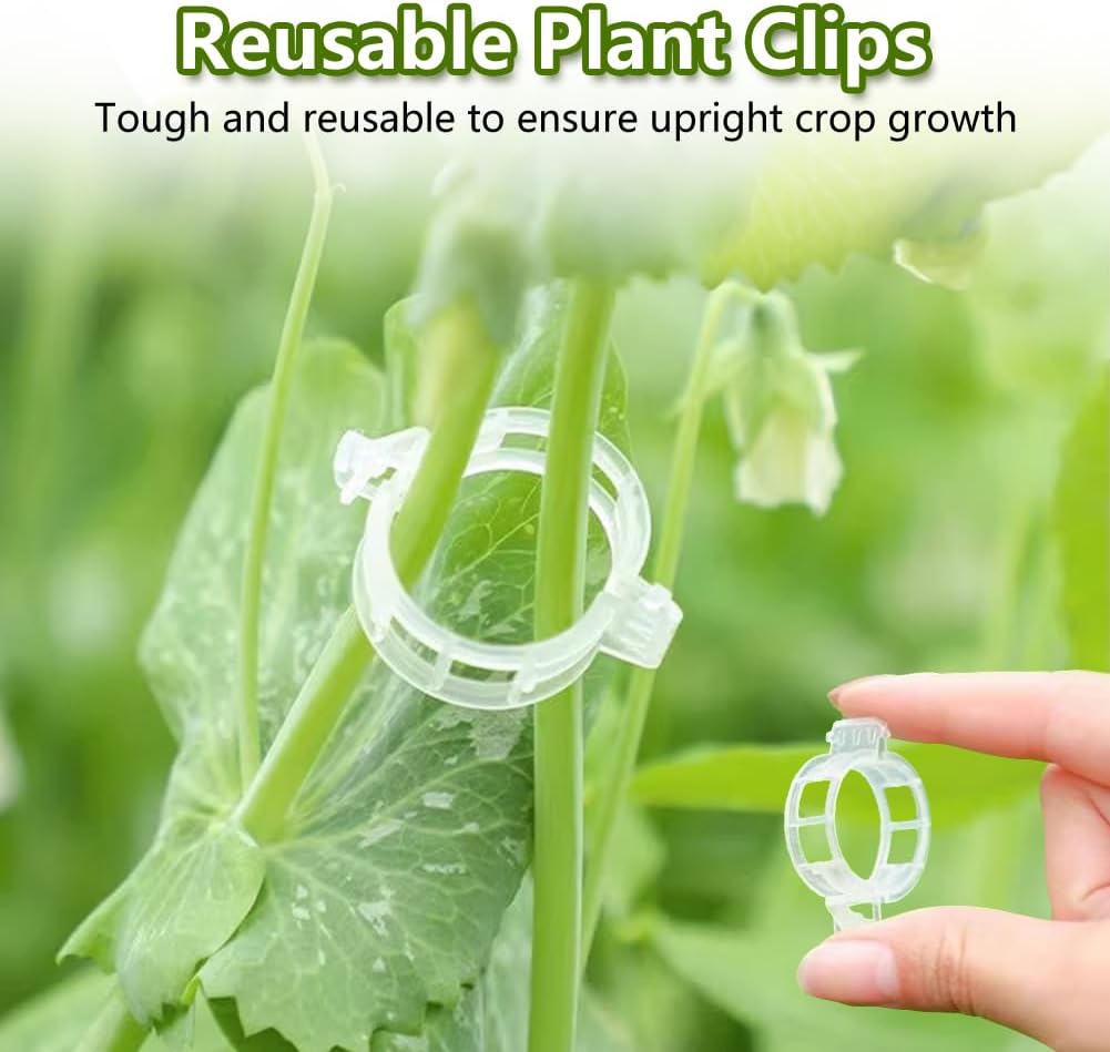 Plant Support Clips, Reusable Garden Clips for Securing Plants (100, Green)