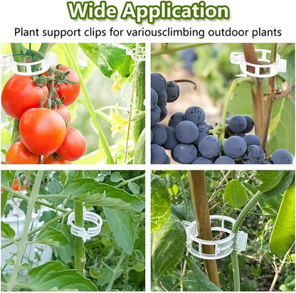 Plant Support Clips, Reusable Garden Clips for Securing Plants (100, Green)