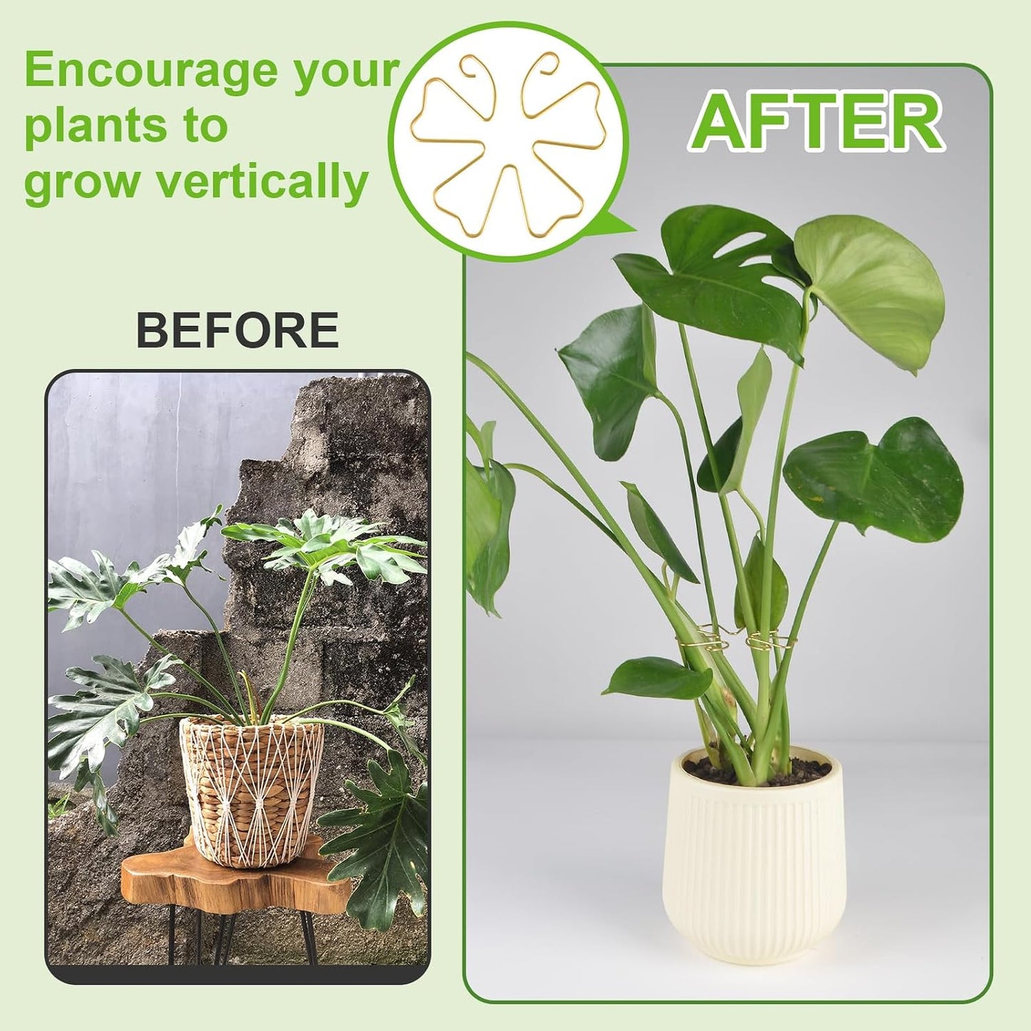 6pcs Plant Stem Support, Iron Monstera Plants Support, Plant Stem Holder