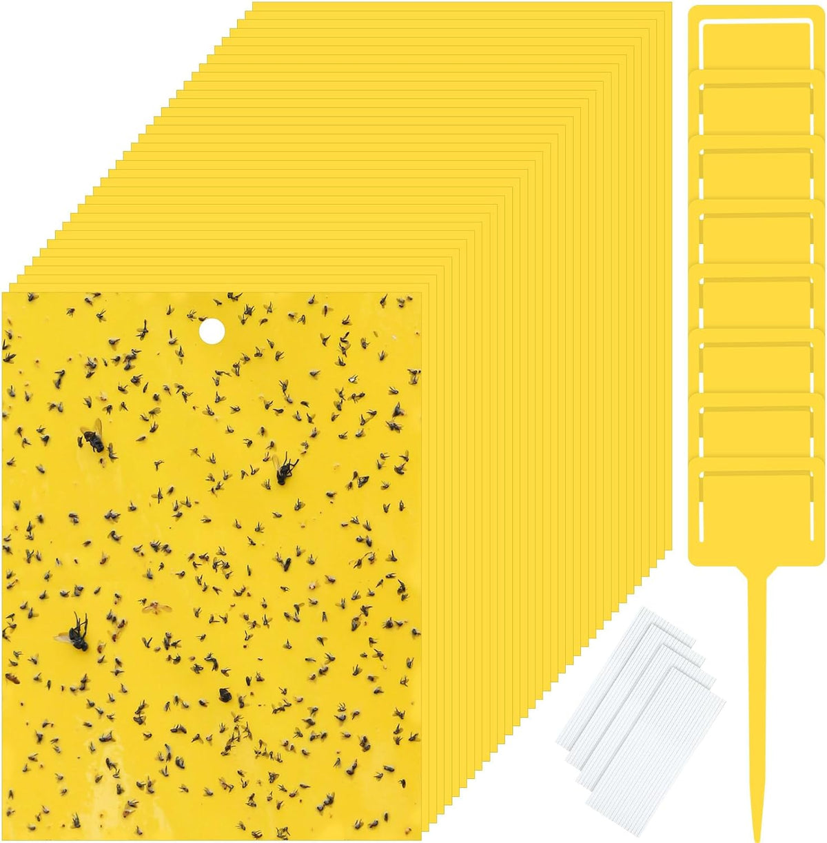 Qualirey 50 Pcs 6 x 8 in Yellow Sticky Traps for Gnats Plant Insect Trap