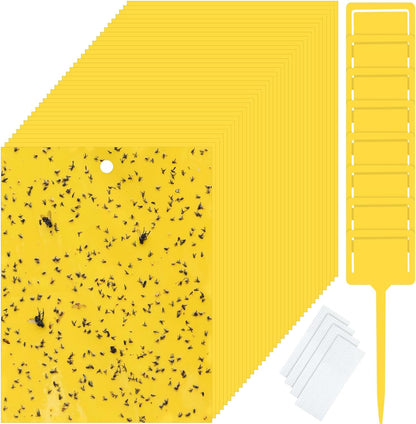 Qualirey 50 Pcs 6 x 8 in Yellow Sticky Traps for Gnats Plant Insect Trap
