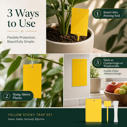 Qualirey 50 Pcs 6 x 8 in Yellow Sticky Traps for Gnats Plant Insect Trap