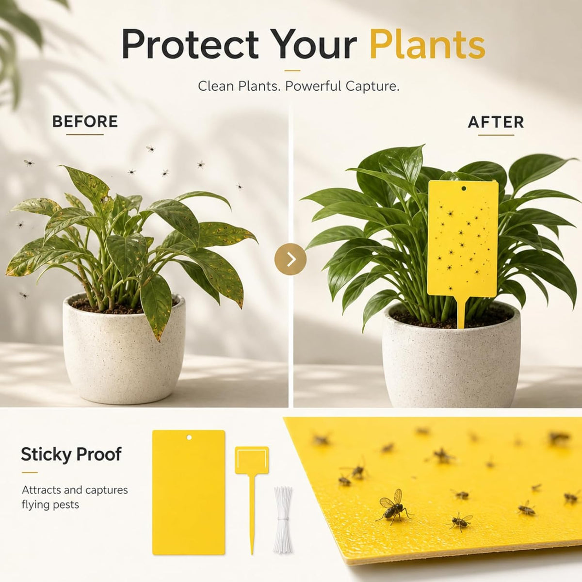 Qualirey 50 Pcs 6 x 8 in Yellow Sticky Traps for Gnats Plant Insect Trap
