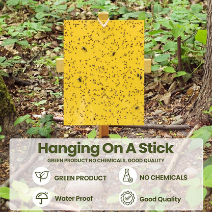 Qualirey 50 Pcs 6 x 8 in Yellow Sticky Traps for Gnats Plant Insect Trap