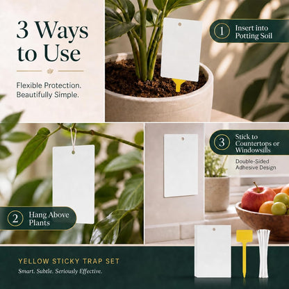 Qualirey 50 Pcs 6 x 8 in Yellow Sticky Traps for Gnats Plant Insect Trap