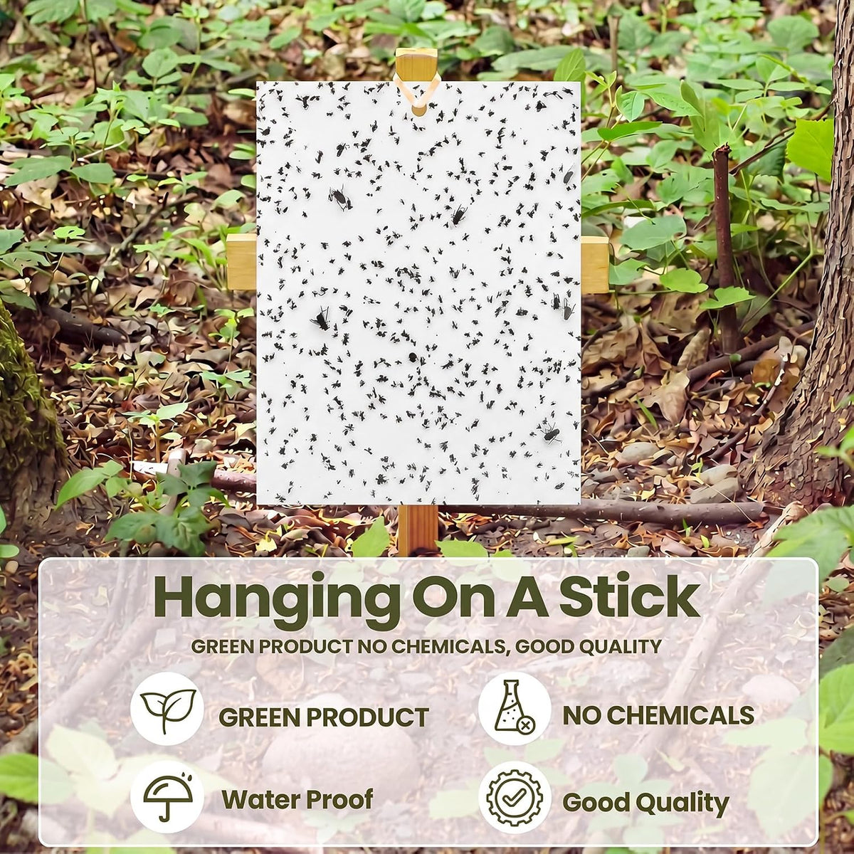 Qualirey 50 Pcs 6 x 8 in Yellow Sticky Traps for Gnats Plant Insect Trap