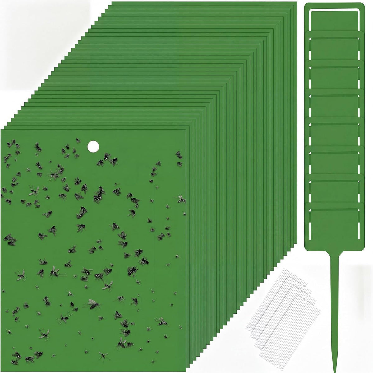 Qualirey 50 Pcs 6 x 8 in Yellow Sticky Traps for Gnats Plant Insect Trap