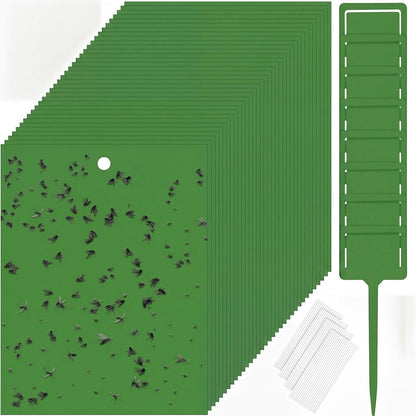 Qualirey 50 Pcs 6 x 8 in Yellow Sticky Traps for Gnats Plant Insect Trap