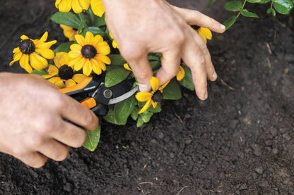 Solid Snip Pruner, Floral SP14, Length: 24cm