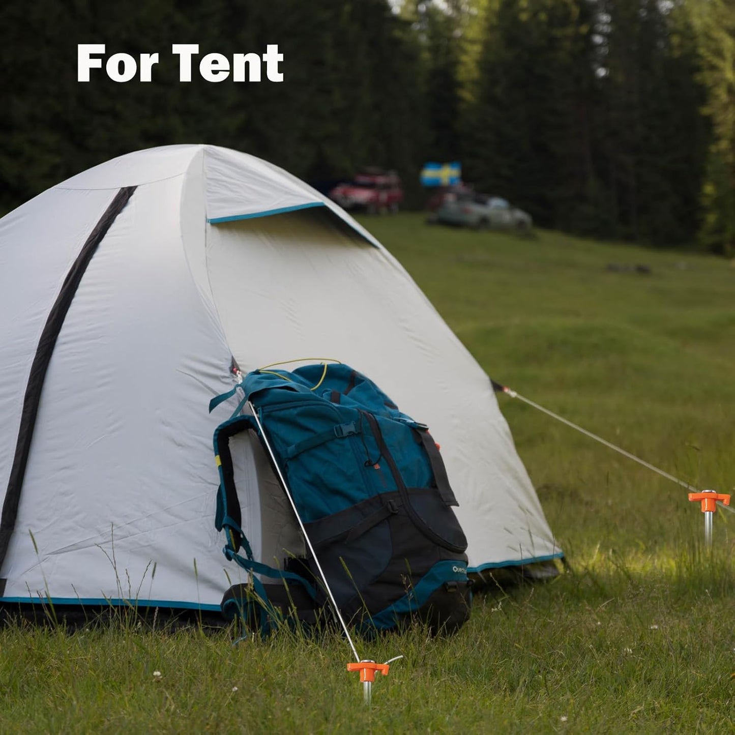 20 Pack Tent Stakes Heavy Duty, 9.75 Inch Yard Stakes Non-Rust Metal Tent Pegs Ground Stakes Tent Spikes for Camping Patio, Garden, Canopies, Grassland, Outdoor, Orange