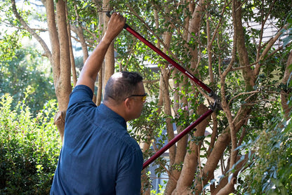 26-inch Branch Cutter MAXFORGED Orchard Loppers | Tree Trimmer Cuts Branches up to 2 ¼-inches in Diameter | AL 8442 Red