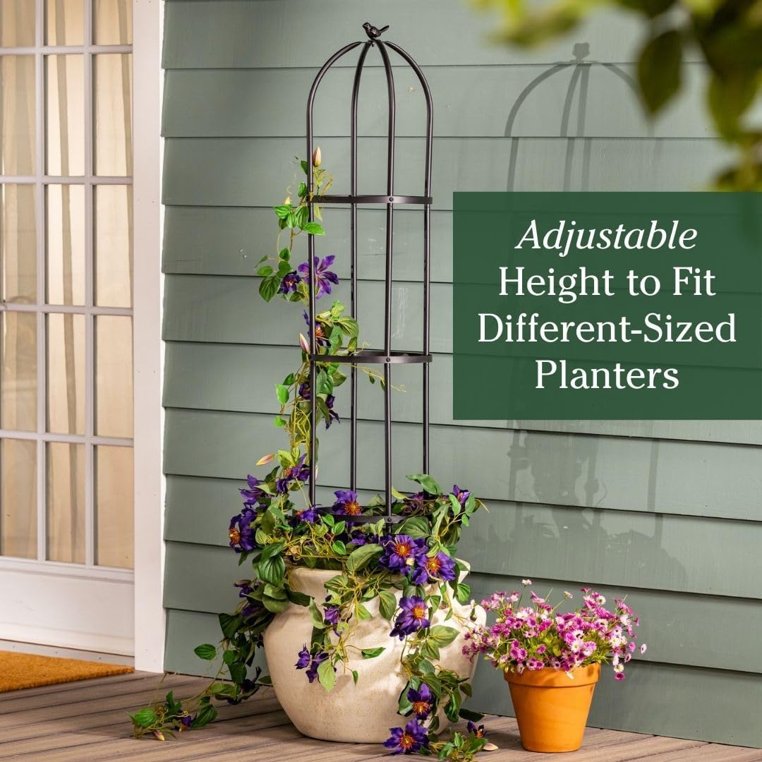 Evergreen Metal Garden Obelisk Trellis for Climbing Plants Outdoor, Indoor Plant Trellis for Potted Plants, Floral Pattern Arch Trellis (Black, 7 ft. Round)