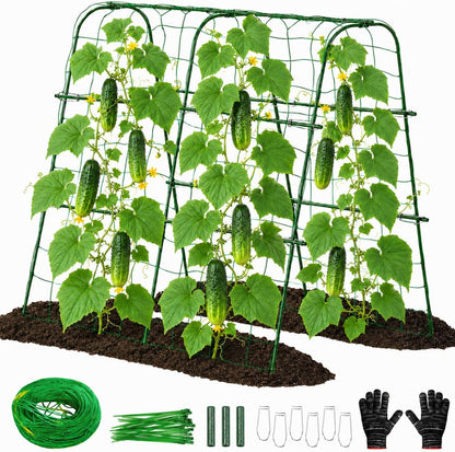 Cucumber Trellis for Raised Garden Bed, 48x48inch, Green