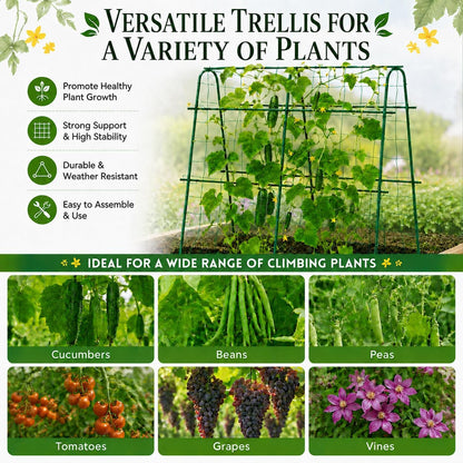 Cucumber Trellis for Raised Garden Bed, 48x48inch, Green
