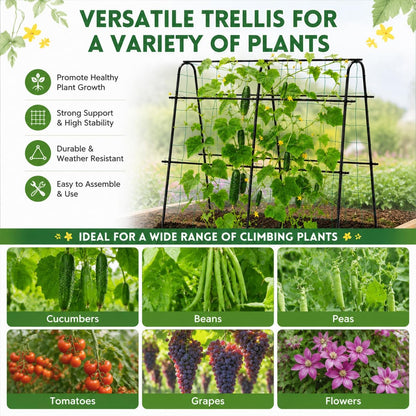 Cucumber Trellis for Raised Garden Bed, 48x48inch, Green