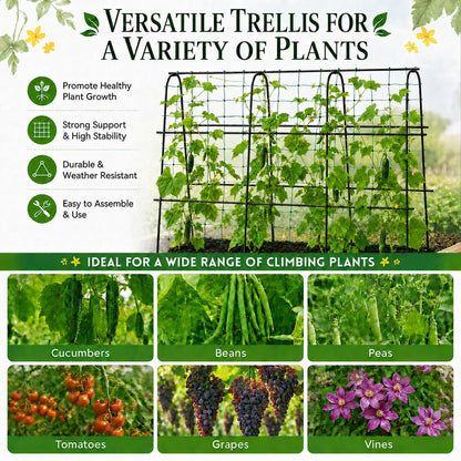 Cucumber Trellis for Raised Garden Bed, 48x48inch, Green