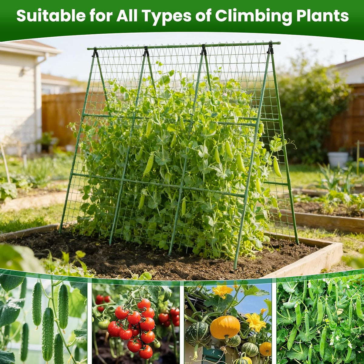 Cucumber Trellis for Raised Bed 48" L x 64" H, 16mm Adjustable A-Frame Garden Trellis with Net for Climbing Plants, Vertical Garden Vegetable Trellis for Zucchini Pea Bean Squash Grape Tomato Flowers