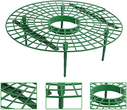 10 Pack Strawberry Plant Support, Large Size Strawberry Growing Racks