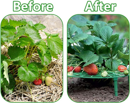 10 Pack Strawberry Plant Support, Large Size Strawberry Growing Racks