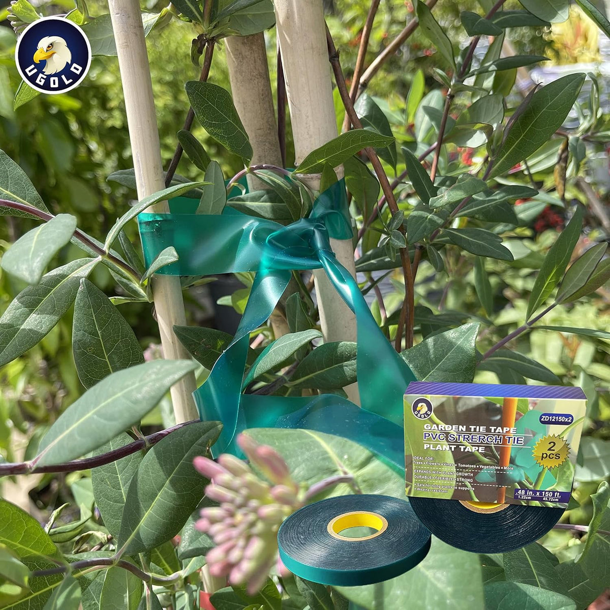 2-Pack, 8 mil Extra Thick 150 Feet x 1/2'' Stretch Plant Tie Tape, Garden Tie Tape for Planting and Grafting, Plant Ribbon for Tomatoes, Grapes and Trees, Green Tie Tape