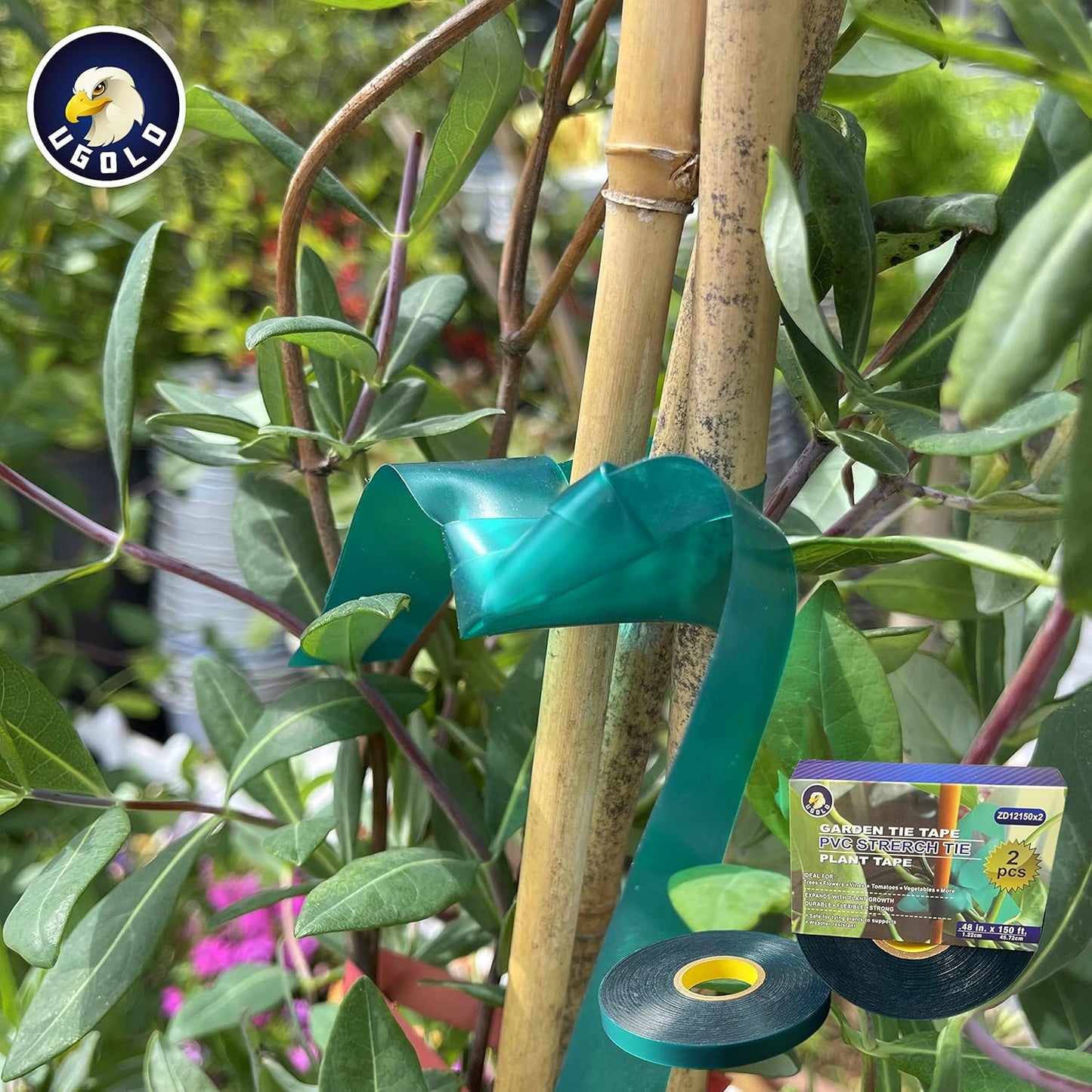 2-Pack, 8 mil Extra Thick 150 Feet x 1/2'' Stretch Plant Tie Tape, Garden Tie Tape for Planting and Grafting, Plant Ribbon for Tomatoes, Grapes and Trees, Green Tie Tape