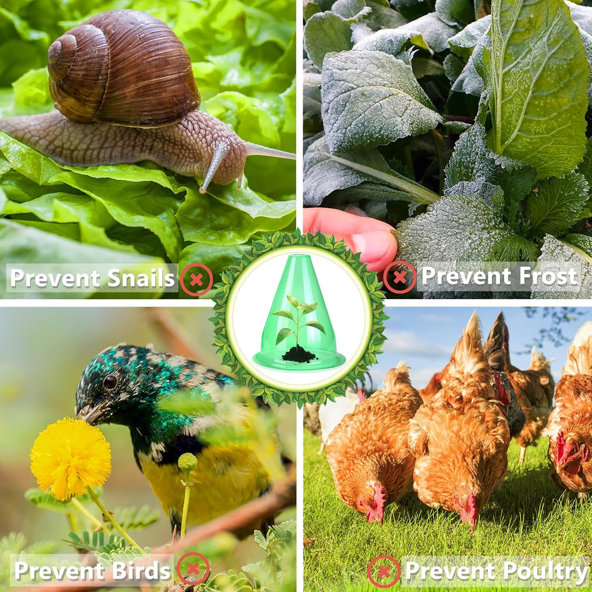 【12 Pieces】 Garden Cloches for Plants, Multifunctional Plant Covers Plant Protectors Transparent Bell Jar Cloches to Protect Plants from Birds, Slugs, Frost, Freeze Weather, 7.8" D x 9.4" H, Green