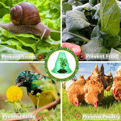 【12 Pieces】 Garden Cloches for Plants, Multifunctional Plant Covers Plant Protectors Transparent Bell Jar Cloches to Protect Plants from Birds, Slugs, Frost, Freeze Weather, 7.8" D x 9.4" H, Green