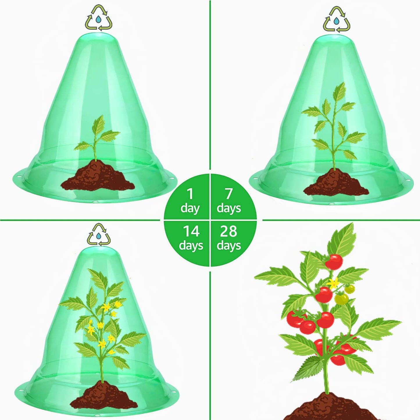 【12 Pieces】 Garden Cloches for Plants, Multifunctional Plant Covers Plant Protectors Transparent Bell Jar Cloches to Protect Plants from Birds, Slugs, Frost, Freeze Weather, 7.8" D x 9.4" H, Green