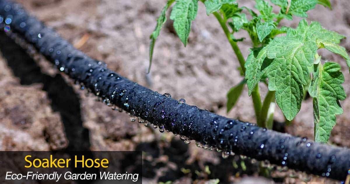 Soaker Hose - Heavy duty rubber - Saves 70% water - End cap included for additional hose connect - Great for gardens/flower beds - Reinforced fittings (50-Feet by 5/8-Inch)