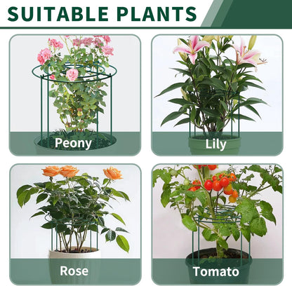 4pack Peony Cages and Supports, 18 x 24 Inch Four Legs Peony Cage, Heavy-Duty Peonies Support Cages, Peony Ring for Roses, Hydrangeas, Sage, Peonies, Cucumbers, Tomato