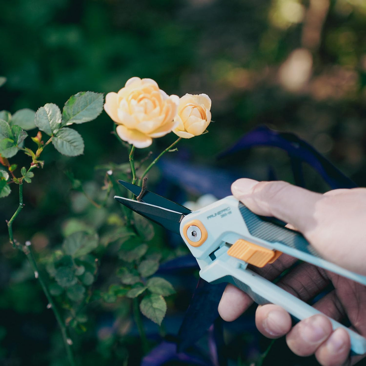 Pruning Shears Gardening Scissors Set Professional Hand Pruner Sharp Stainless Steel Blade Garden Scissors Plant Flower Garden Clipper