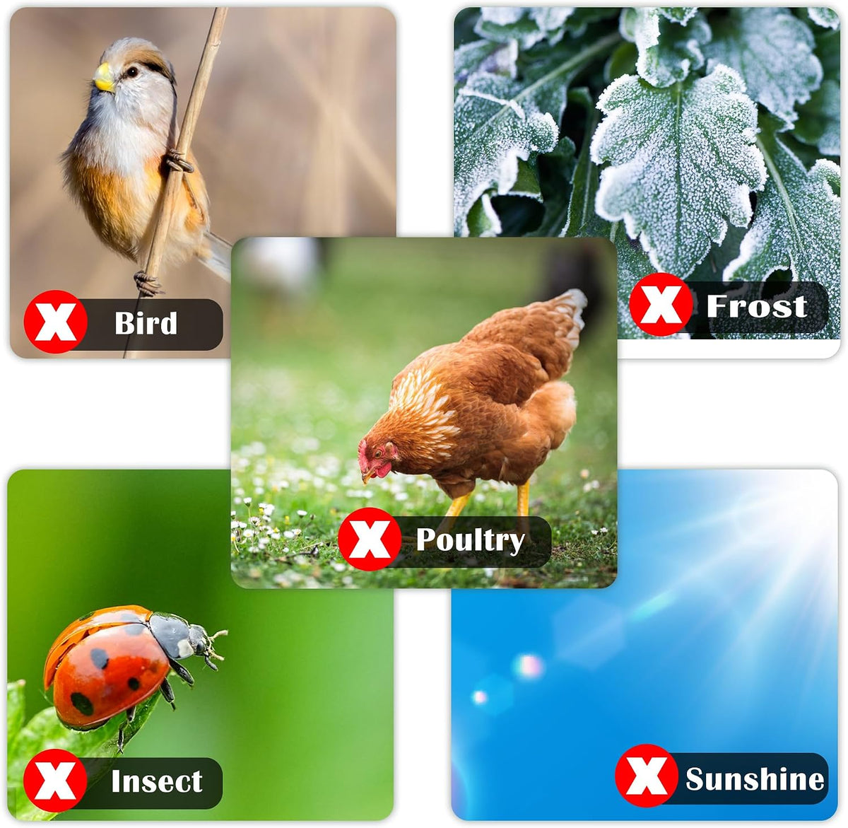 Alpurple 2 Pcs Insect Bird Barrier Netting Mesh with Drawstring- 4.9 x 3.2 Ft Garden Bug Netting Plant Cover- Fruit Tree Net for Protect Plant Fruits Citrus Flower from Insect Bird Eating