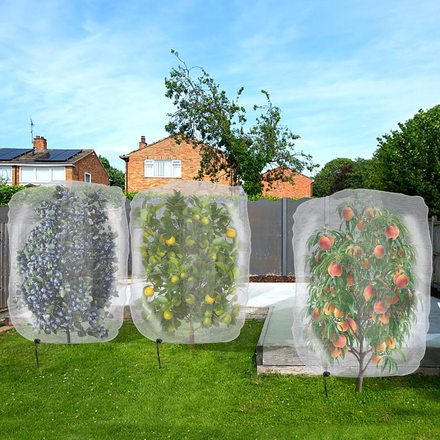 Alpurple 2 Pcs Insect Bird Barrier Netting Mesh with Drawstring- 4.9 x 3.2 Ft Garden Bug Netting Plant Cover- Fruit Tree Net for Protect Plant Fruits Citrus Flower from Insect Bird Eating