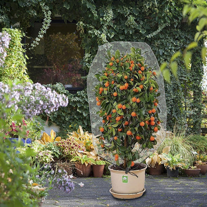 Alpurple 2 Pcs Insect Bird Barrier Netting Mesh with Drawstring- 4.9 x 3.2 Ft Garden Bug Netting Plant Cover- Fruit Tree Net for Protect Plant Fruits Citrus Flower from Insect Bird Eating
