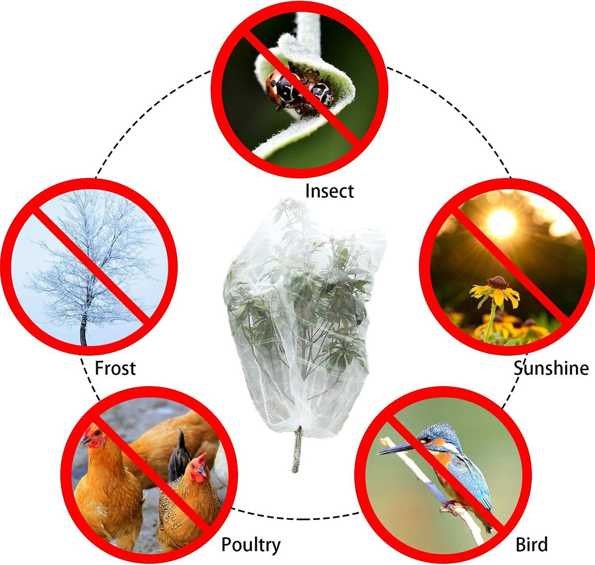 Alpurple 2 Pcs Insect Bird Barrier Netting Mesh with Drawstring- 4.9 x 3.2 Ft Garden Bug Netting Plant Cover- Fruit Tree Net for Protect Plant Fruits Citrus Flower from Insect Bird Eating