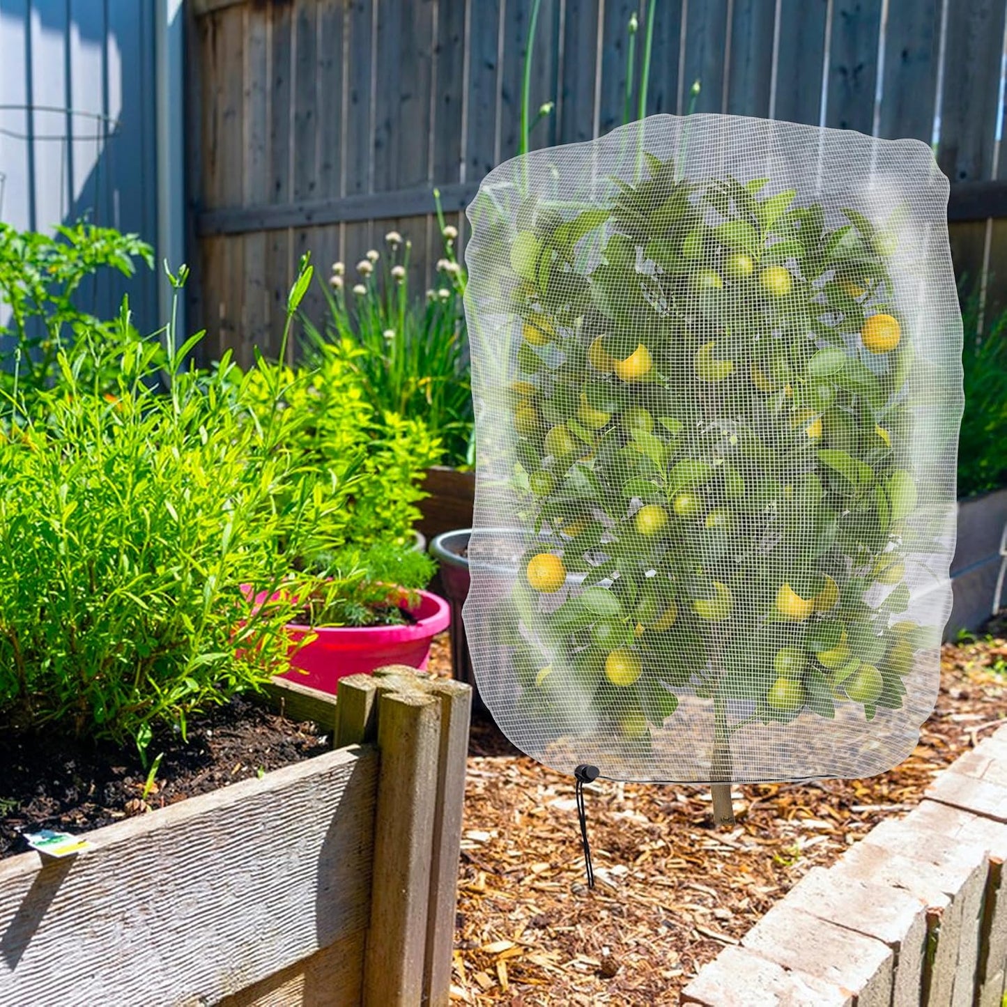 Alpurple 2 Pcs Insect Bird Barrier Netting Mesh with Drawstring- 4.9 x 3.2 Ft Garden Bug Netting Plant Cover- Fruit Tree Net for Protect Plant Fruits Citrus Flower from Insect Bird Eating