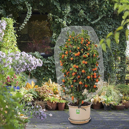 Alpurple 2 Pcs Insect Bird Barrier Netting Mesh with Drawstring- 4.9 x 3.2 Ft Garden Bug Netting Plant Cover- Fruit Tree Net for Protect Plant Fruits Citrus Flower from Insect Bird Eating