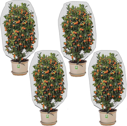 Alpurple 2 Pcs Insect Bird Barrier Netting Mesh with Drawstring- 4.9 x 3.2 Ft Garden Bug Netting Plant Cover- Fruit Tree Net for Protect Plant Fruits Citrus Flower from Insect Bird Eating
