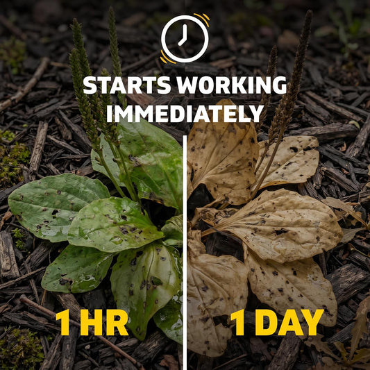 Weed Killer Refill - Versatile Weed & Grass Killer₂ for Flower Beds, Driveways & Mulch Beds - No Pour, No Mix, No Mess Refill - Kills Dandelions, Crabgrass & More - Results in 1 Hour (64 Oz)