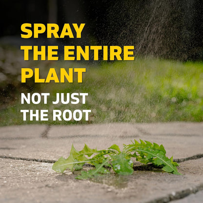 Weed Killer Refill - Versatile Weed & Grass Killer₂ for Flower Beds, Driveways & Mulch Beds - No Pour, No Mix, No Mess Refill - Kills Dandelions, Crabgrass & More - Results in 1 Hour (64 Oz)