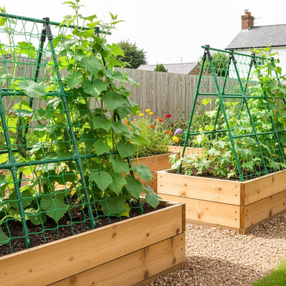 A-Frame Cucumber Trellis for Raised Bed - 63”H x 47”W, Heavy-Duty Detachable Garden Trellis with Netting & Clips, Support for Climbing Outdoor Cucumber, Tomatoes, Luffa, Bitter Melon, Vining Flowers