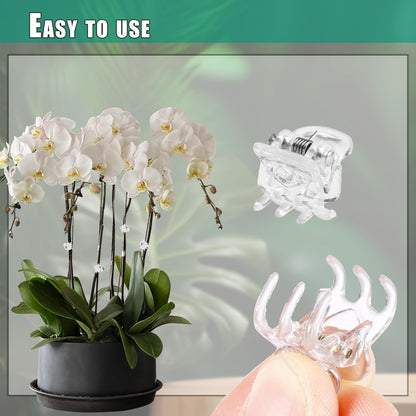 100pc Clear Orchid Clips – 0.79" Opening Clip Plant Clips for Climbing Plants, Plant Wall Clips, Flower & Garden Support Clips, Reusable Mini Plant Cages & Stakes for Patio, Lawn & Greenhouse