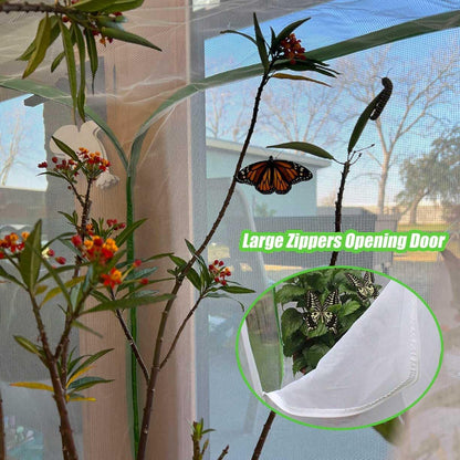 Pop Up Garden Mesh Plant Cover 2Pcs Outdoor Plant Protector Mesh Plant Enclosure Raised Bed Garden Bird and Pest Protection Guard for Fruits Vegetables Seedlings and Herbs