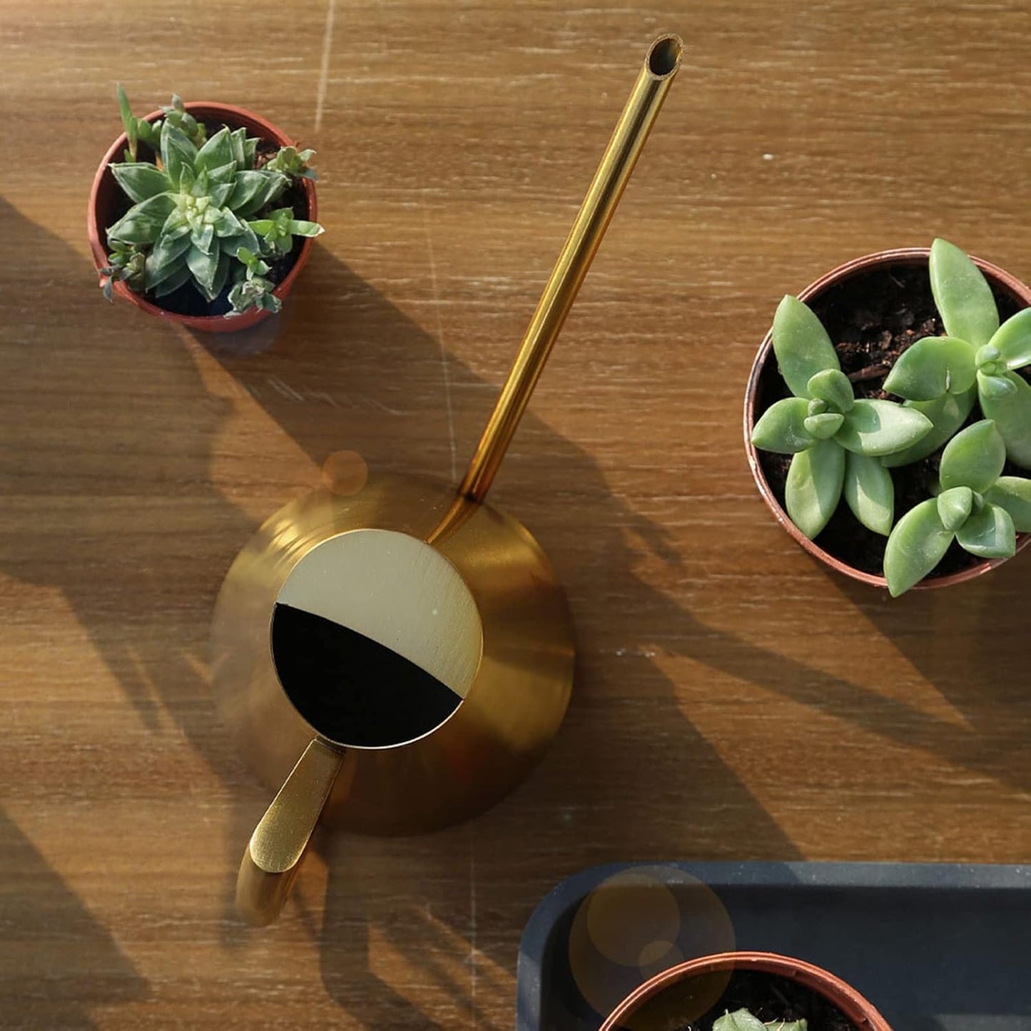 Gold Watering Can 1500ml Stainless Steel Cans Indoor Plants
