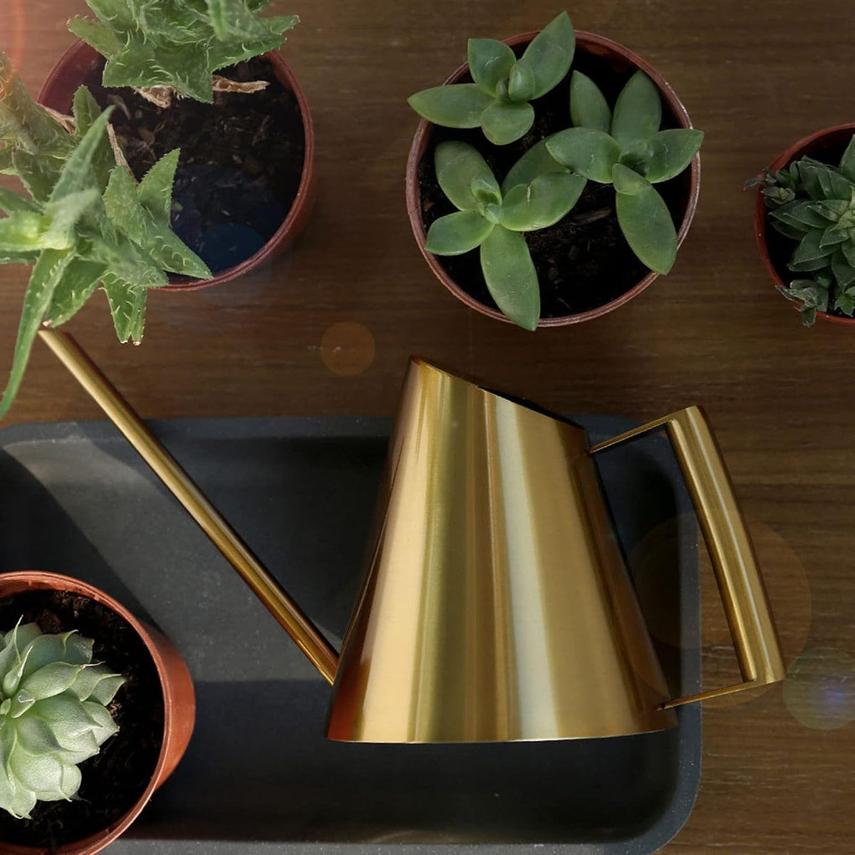 Gold Watering Can 1500ml Stainless Steel Cans Indoor Plants