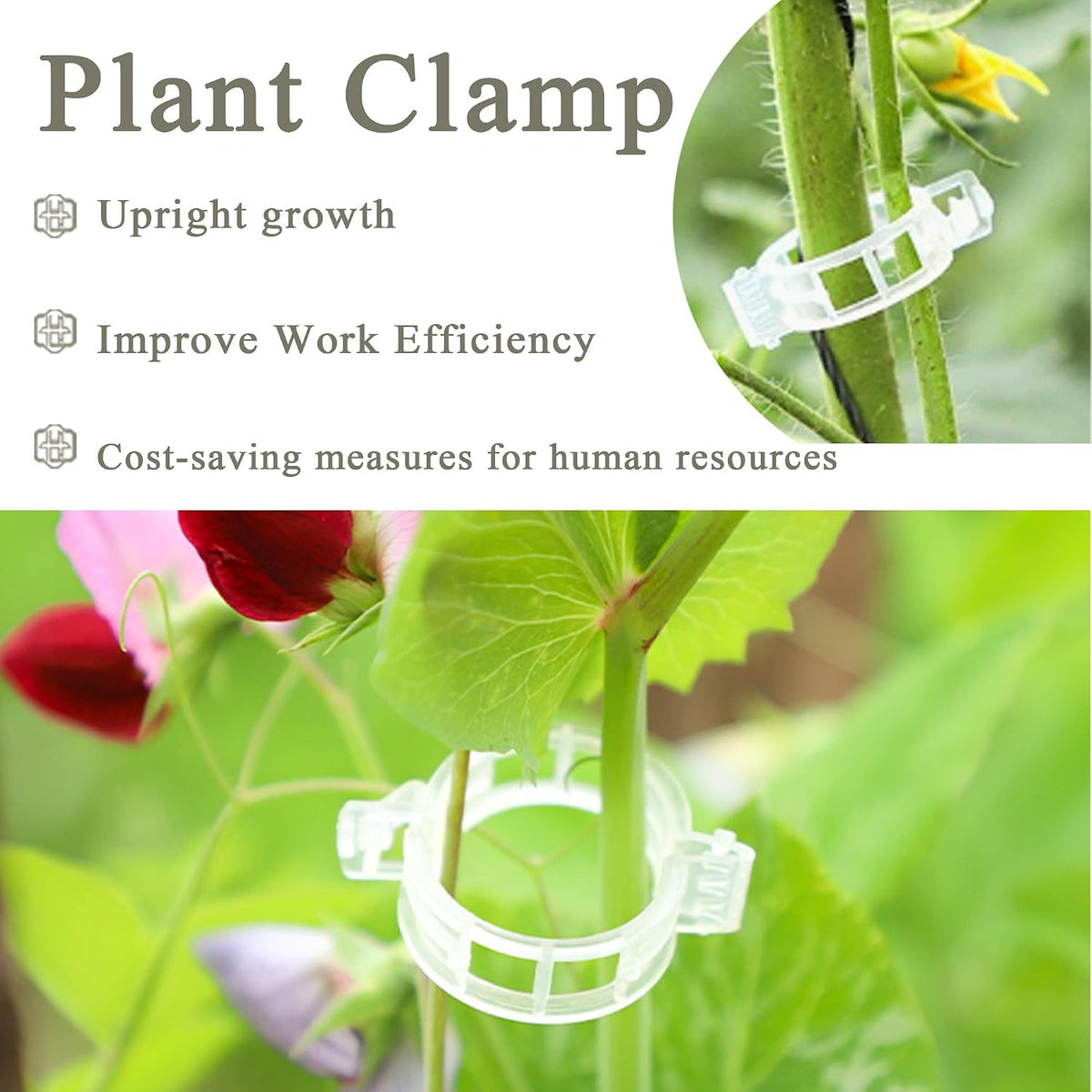 50 Pcs Heavy-Duty Plant Support Clips – Durable Plastic Trellis Clips for Tomatoes, Grapes, Vegetables, and Climbing Plants – Garden Vine Clips for Upright Growth and Healthier Plants (White)