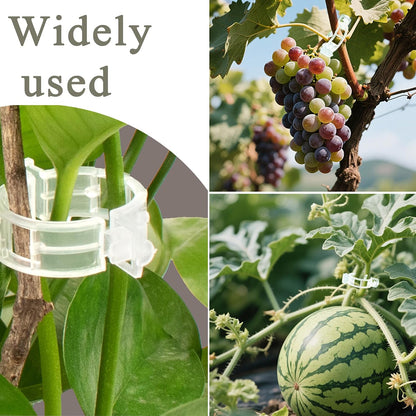 50 Pcs Heavy-Duty Plant Support Clips – Durable Plastic Trellis Clips for Tomatoes, Grapes, Vegetables, and Climbing Plants – Garden Vine Clips for Upright Growth and Healthier Plants (White)