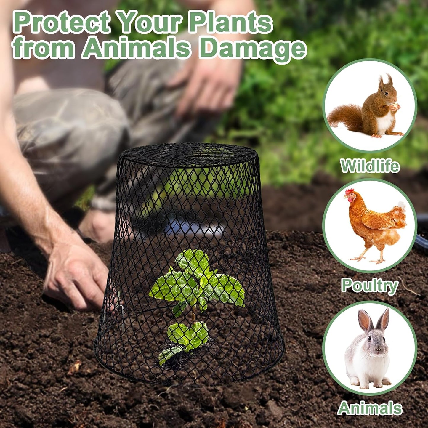 10 Pcs 9.13"×9.13" Chicken Wire Cloche Plant Covers Garden Netting Metal Heavy Duty Plant Protectors from Animals for Keeping Bunnies Chicken Squirrels Birds Other Out